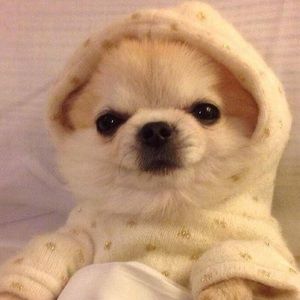 Meet your Posher, Fernando